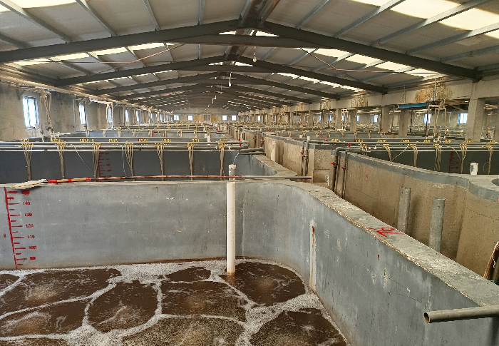 投資4.5億元 沾化整建制推進城區地熱能供暖-地熱資源開發-地大熱能 投資4.5億元 沾化整建制推進城區地熱能供暖-地熱資源開發-地大熱能